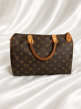 Louis Vuitton Speedy 30 Monogram Handbag